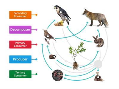 FORM 2 SCIENCE CHAPTER 2 ECOSYSTEM