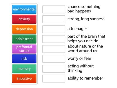 Brain and Behavior Vocabulary