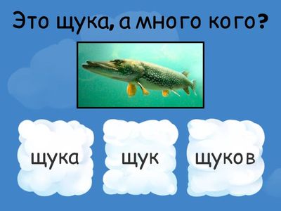Много кого/чего? Щ