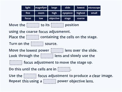 Viewing a Microscope Slide