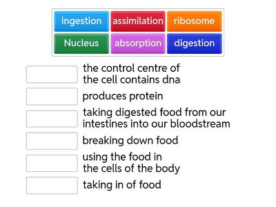 Science Christmas test