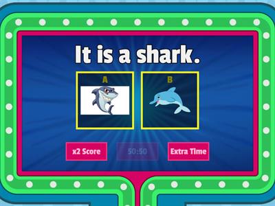 Sea animals quiz