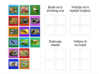 Životinje u proljeće