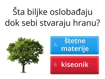 Živa bića