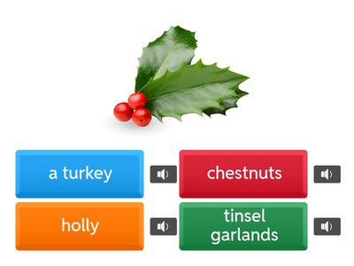 CBE Ligo Engels functioneren Christmas words