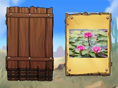 Автоматизація звуку Л