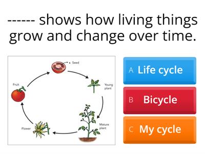 Quiz Revision - Grade 3 Science Copy