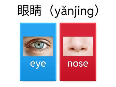 第五課：小豆豆眼睛大