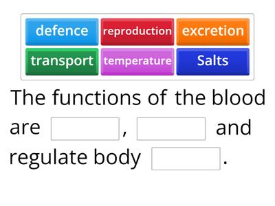 Circulatory System: Blood