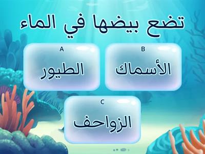 اختر الإجابة الصحيحة 