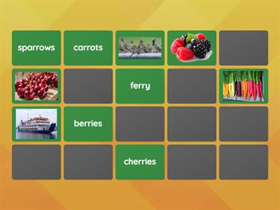 Barton 7.11 AR+R ER+R