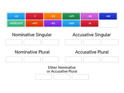 Nominative vs Accusative Test