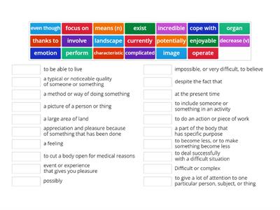  MODULE E vocabulary 