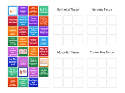 Contrasting Body Tissues