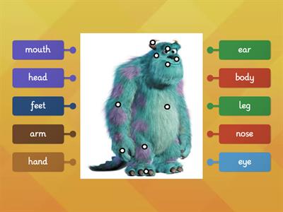 Parts of body and face