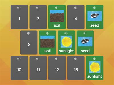 TrueHearts Preschool【A Seed Grows】Matching Activity