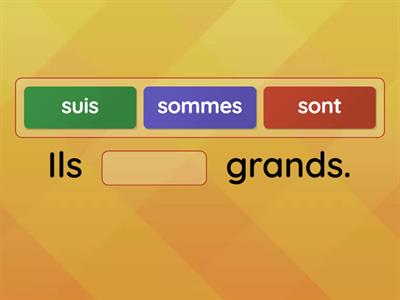 FLE A1: verbe être\s'appeler\avoir