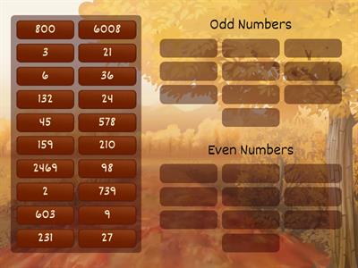 Odd and Even Numbers