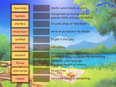 A Wild Adventure Vocabulary