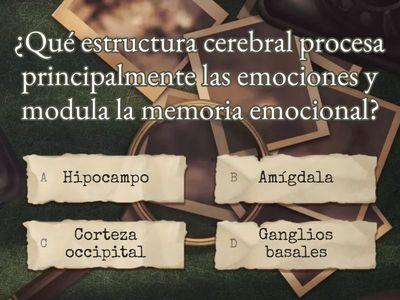 Cuestionario: El cerebro y el aprendizaje