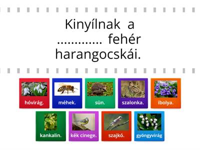 Mesél a tavaszi erdő