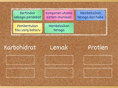 Fungsi Karbohidrat, Protien dan Lemak