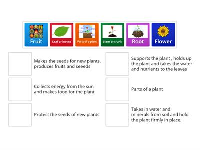 B3 PART 1 - PLANTS