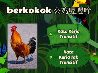 Kata Kerja Transitif & Tak Transitif