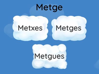 Quin és el plural correcte?