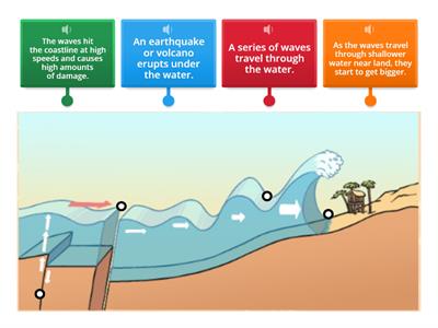 Tsunami Diagram. 