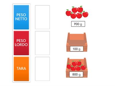 TARA, PESO NETTO, PESO LORDO