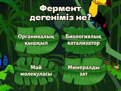 био 11-сынып