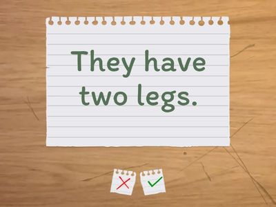 Daily routine - present simple