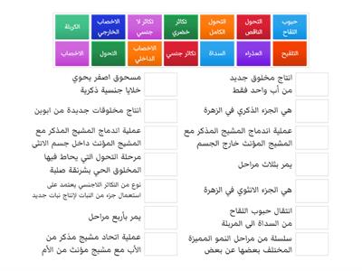 مفردات الفصل الثاني علوم خامس