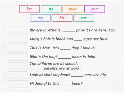 Possessive adjectives