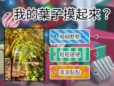 樹葉精靈_國小甲