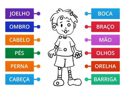 PARTES DO CORPO(EDUCAÇÃO FISICA)