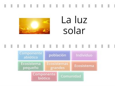 Los ecosistemas. Práctica Prueba Nacional Estandarizada