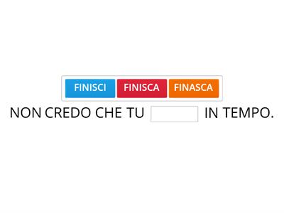 B1-Completa le frasi con il verbo al CONGIUNTIVO 