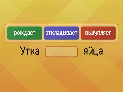 Лексика появление животных