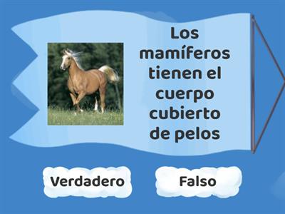 ANIMALES VERTEBRADOS