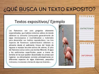 TEXTOS EXPOSITIVOS