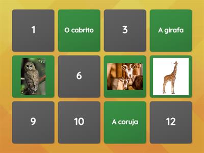 O Morcego bobo. Amigos da floresta.