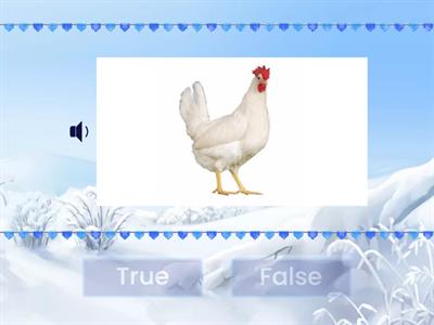 animals+colours, true or false, Карпюк 1 клас