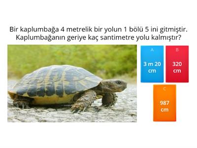 Uzunluk Ölçme Testi