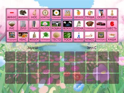 Диференциация звуков "Ш" и "С"