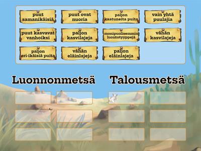 Luonnonmetsä vs talousmetsä