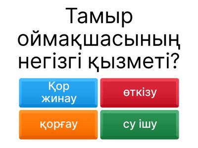 тамыр негізі