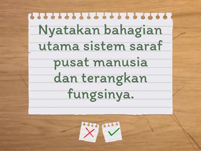 Sistem Saraf Manusia Tahun 6