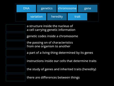 Genetics